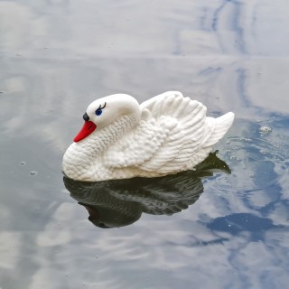 Łabędź pływający młody 20 cm