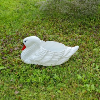 Donica łabędź ogrodowy młody 22 cm
